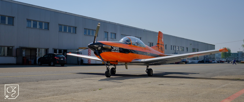 pic_fly1.jpg